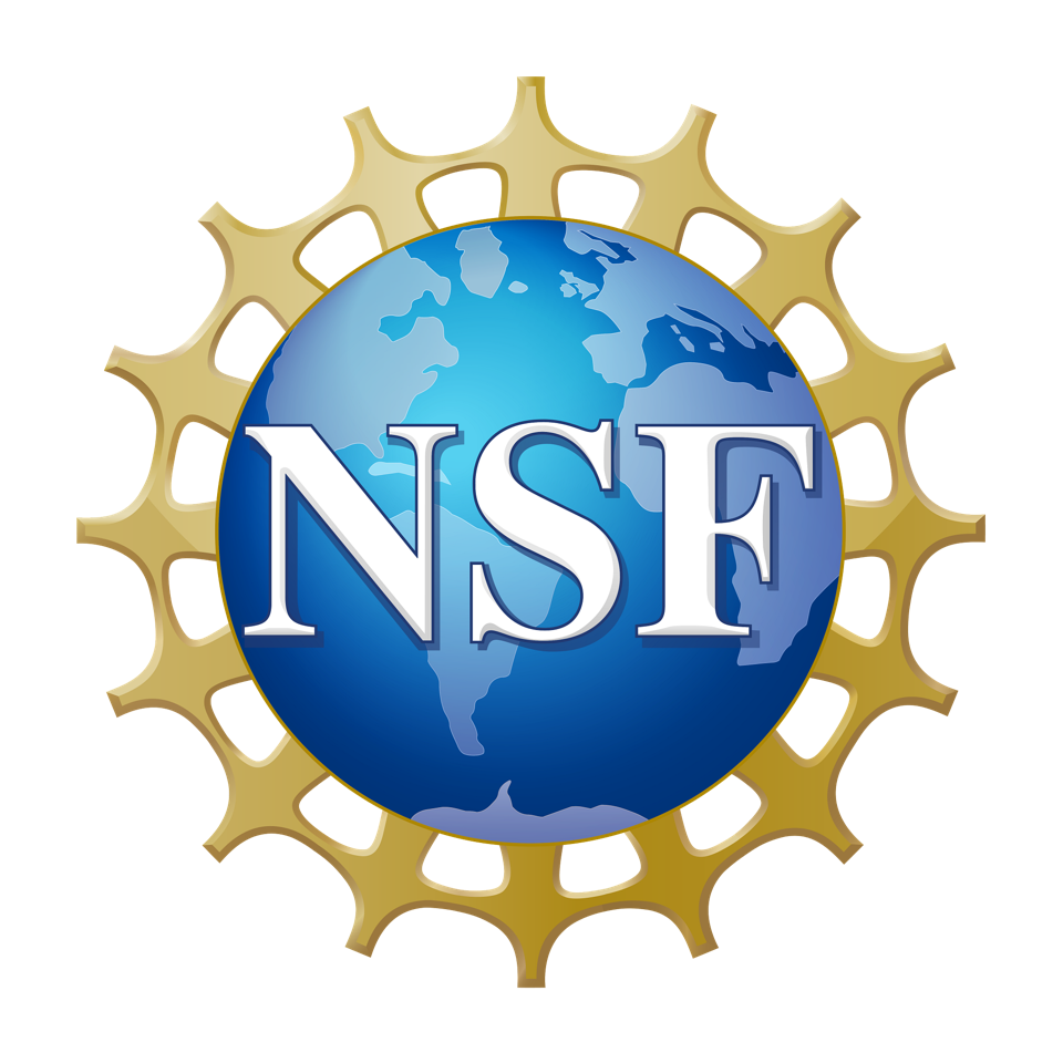 go to NSF website